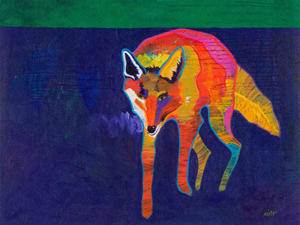 Coyote Medicine